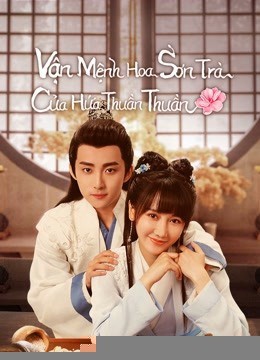 Xem phim Vận Mệnh Hoa Sơn Trà Của Hứa Thuần Thuần